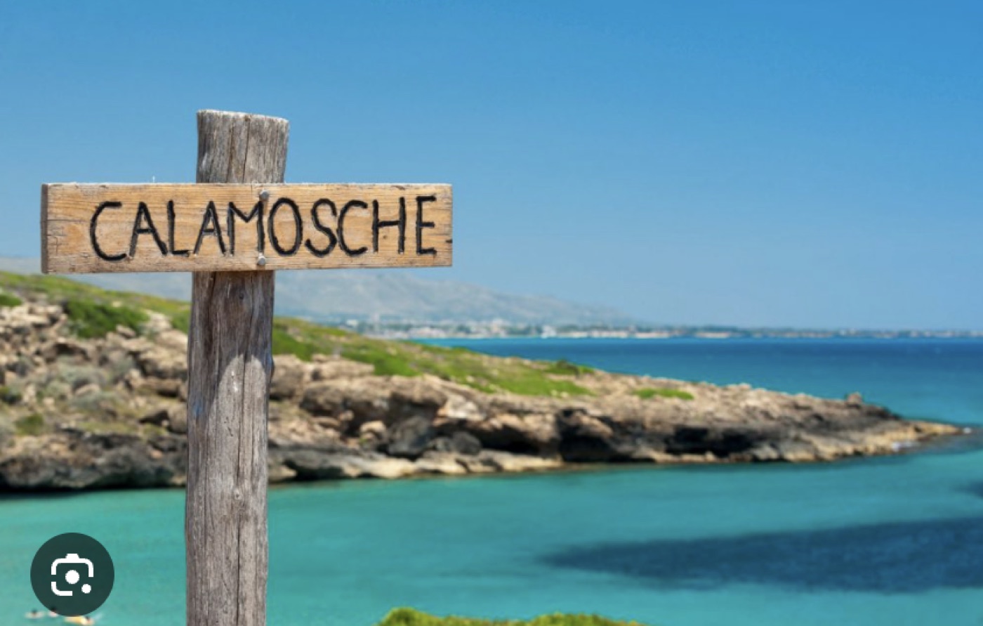 Calamosche